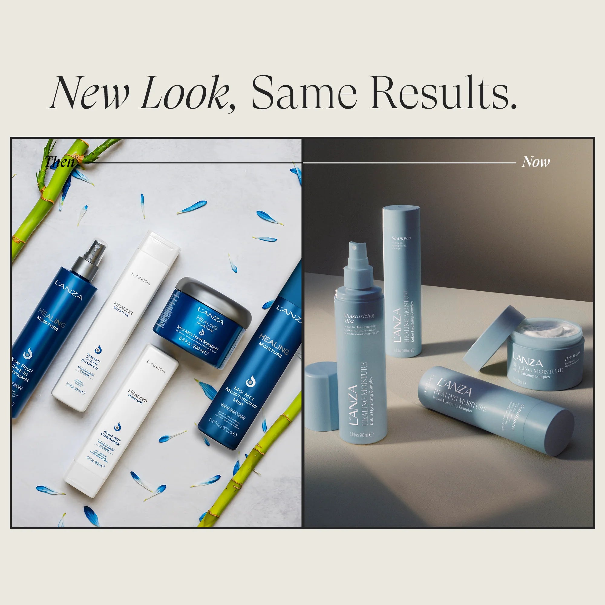 L’ANZA Healing Moisture Tamanu Cream Shampoo – Hydraterend en herstellend voor droog haar