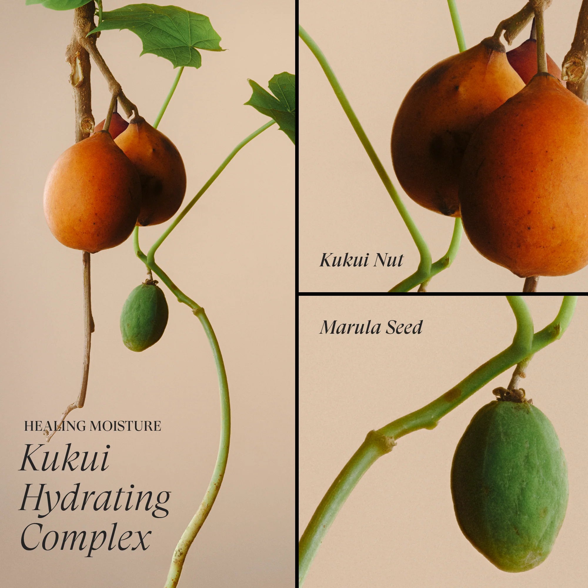 L’ANZA Healing Moisture Tamanu Cream Shampoo – Hydraterend en herstellend voor droog haar