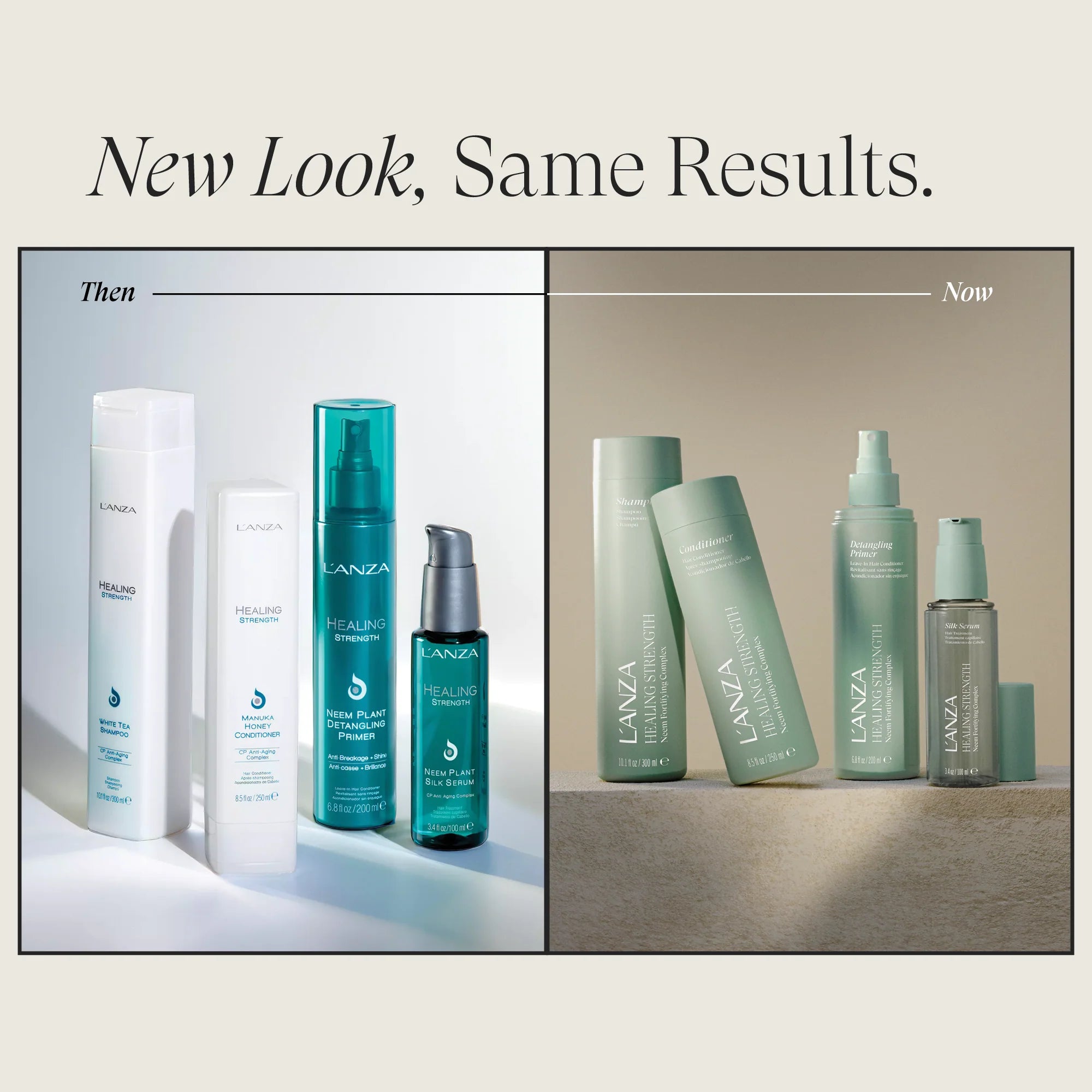 L’ANZA Healing Strength with Tea Shampoo – Versterkend en herstellend haar