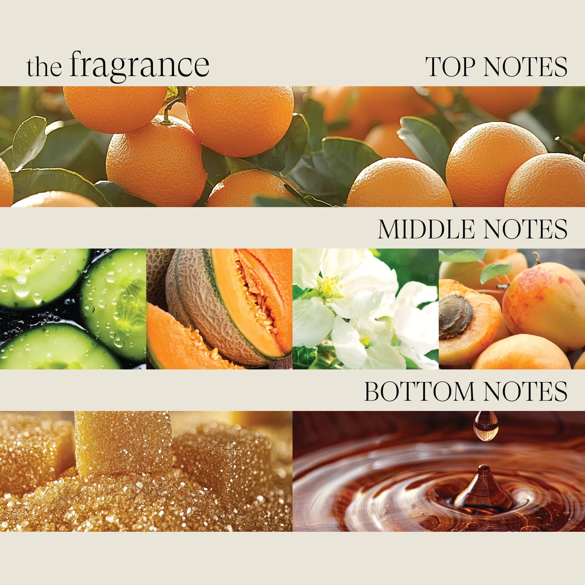 L’ANZA Healing Strength with Tea Shampoo – Versterkend en herstellend haar