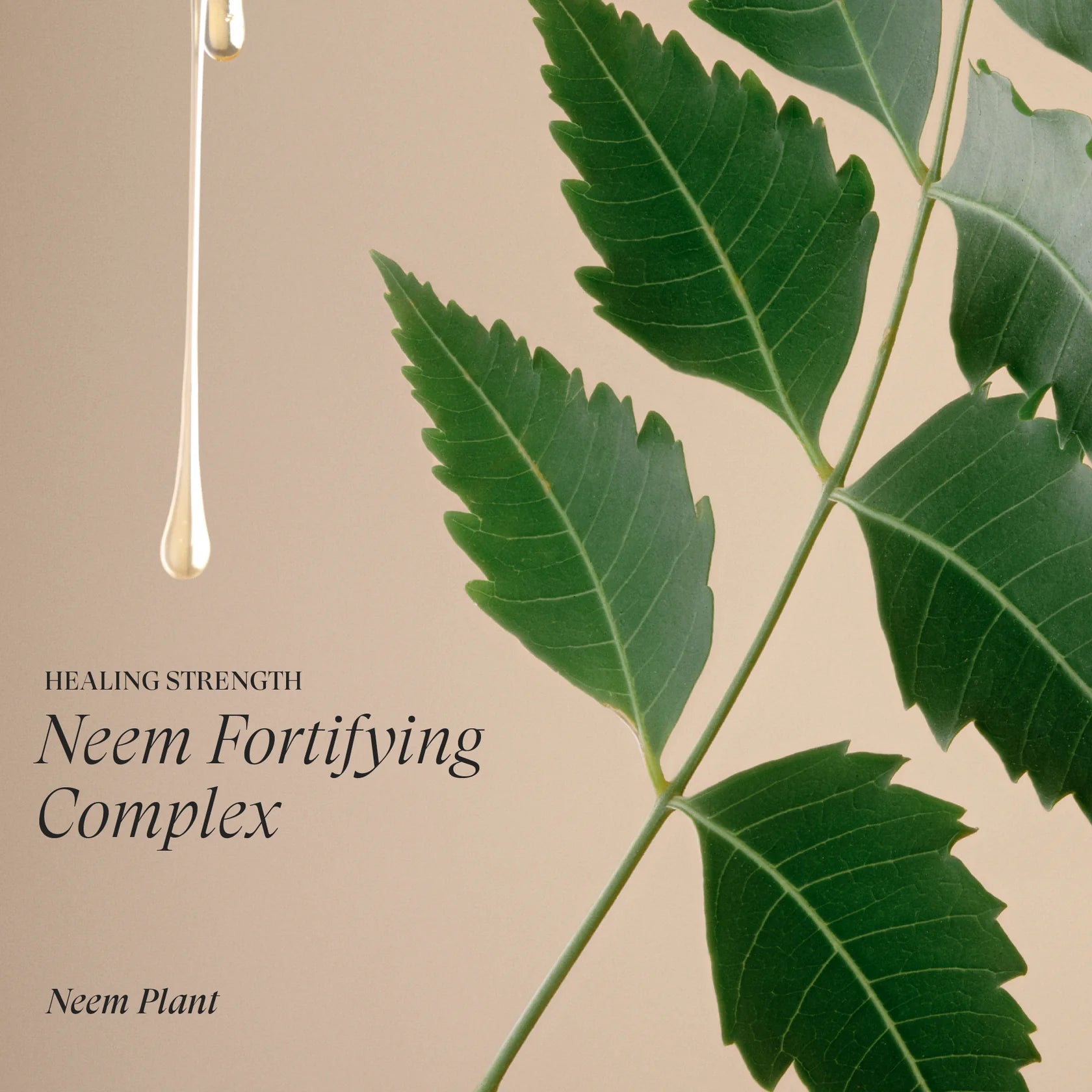 L’Anza Healing Strength Conditioner – Versterkende Conditioner tegen Haarbreuk