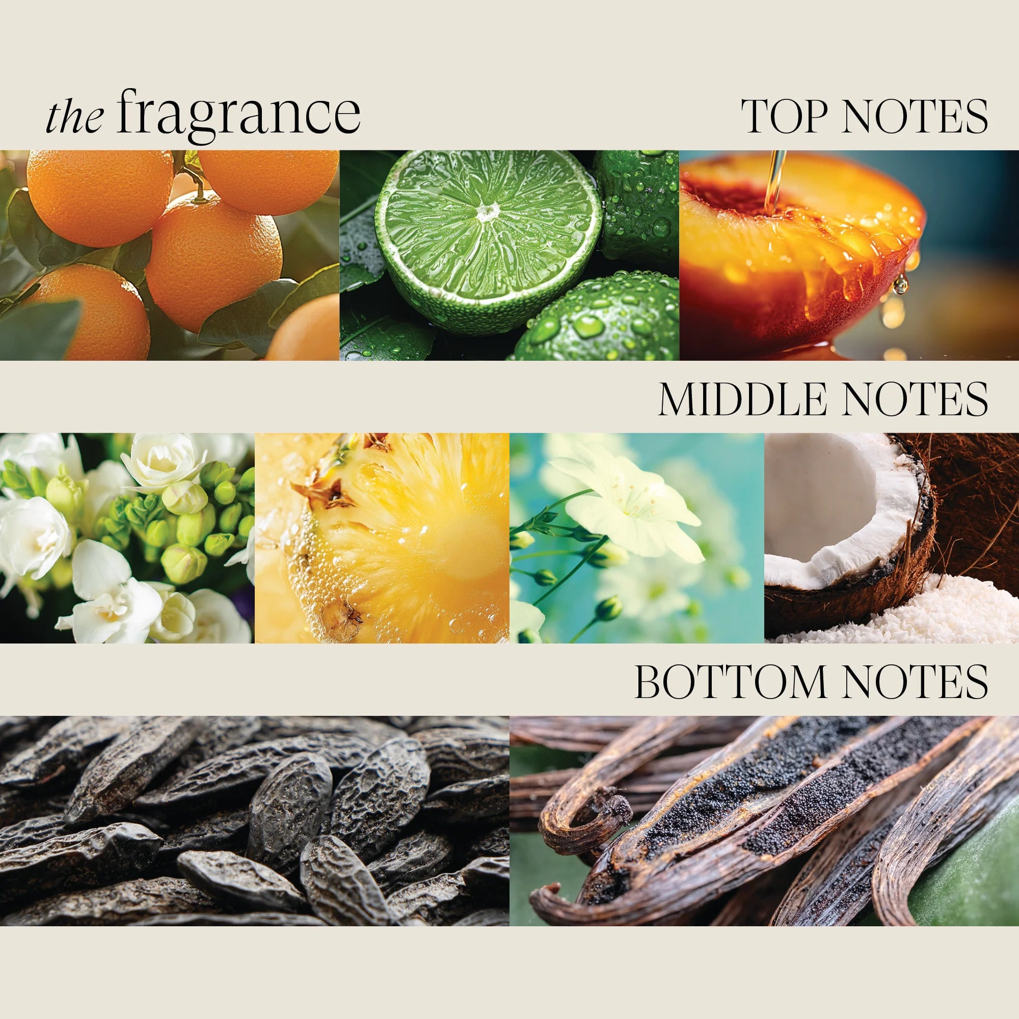 L’ANZA Healing Moisture Kukui Hydrating Complex – Intensieve Hydratatie en Zachtheid voor Droog Haar