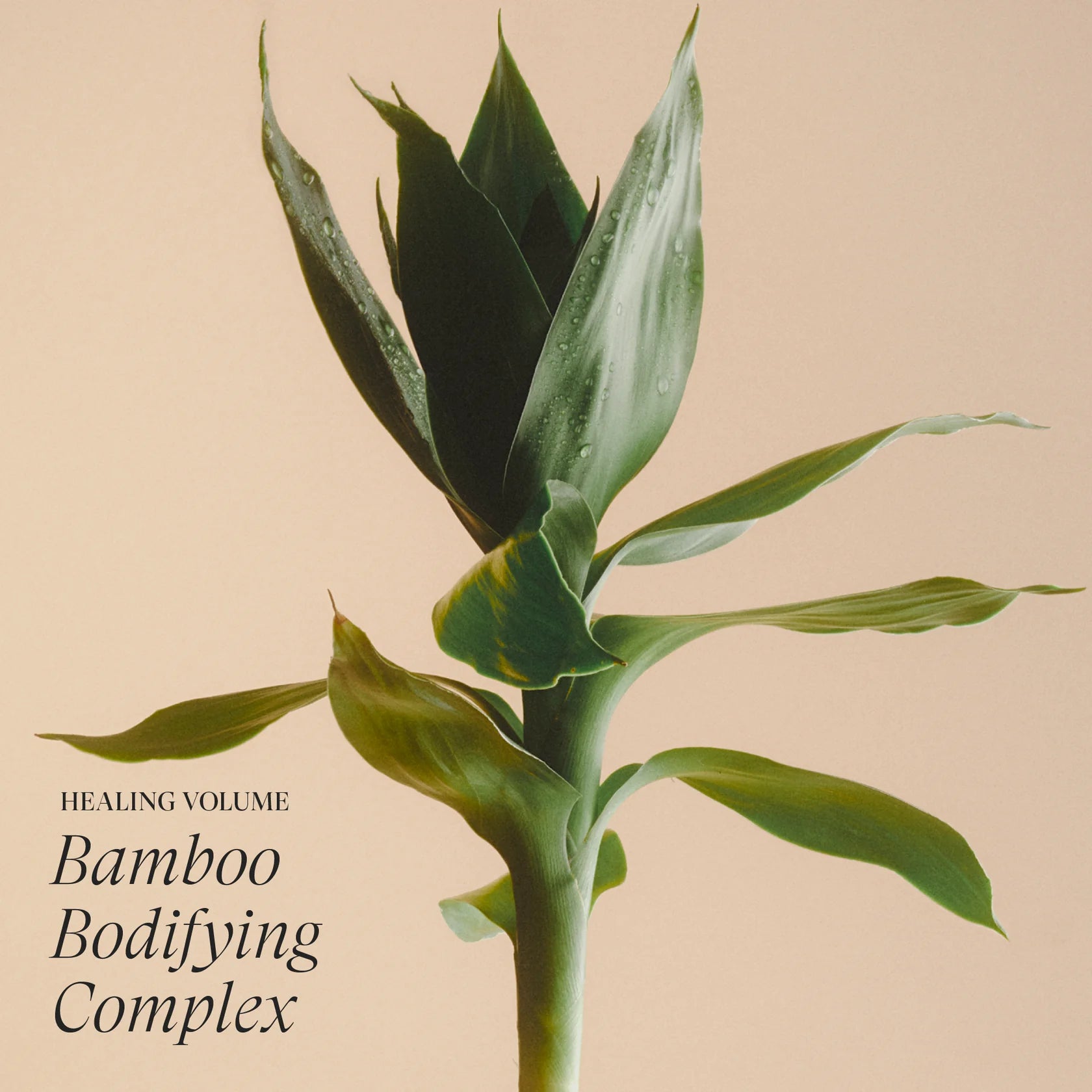 L’Anza Healing Volume Conditioner – Lichtgewicht Volume & Verzorging voor Fijn Haar