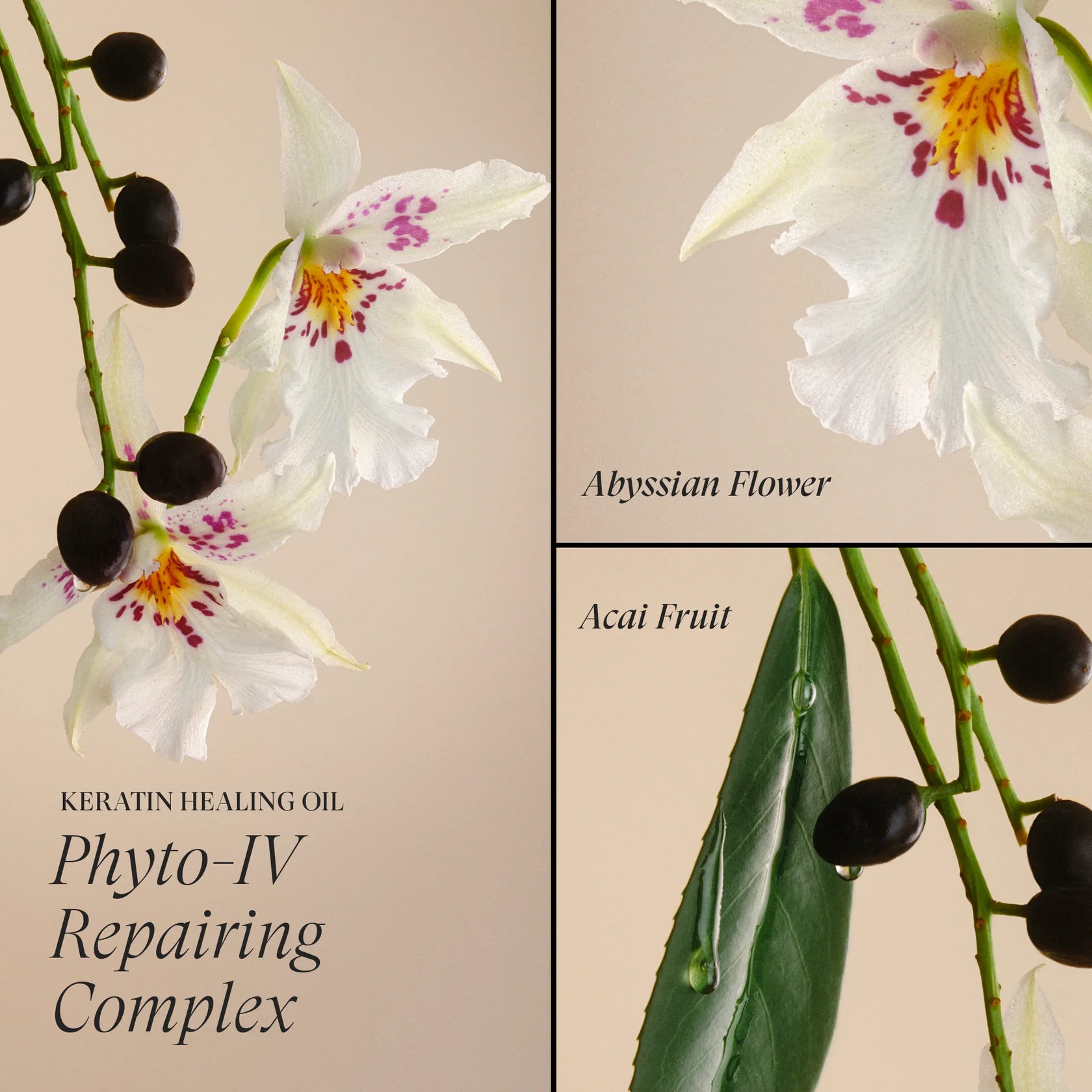 L’Anza Keratin Healing Oil Intensive Hair Masque – Intensief Herstel & Voeding voor Beschadigd Haar