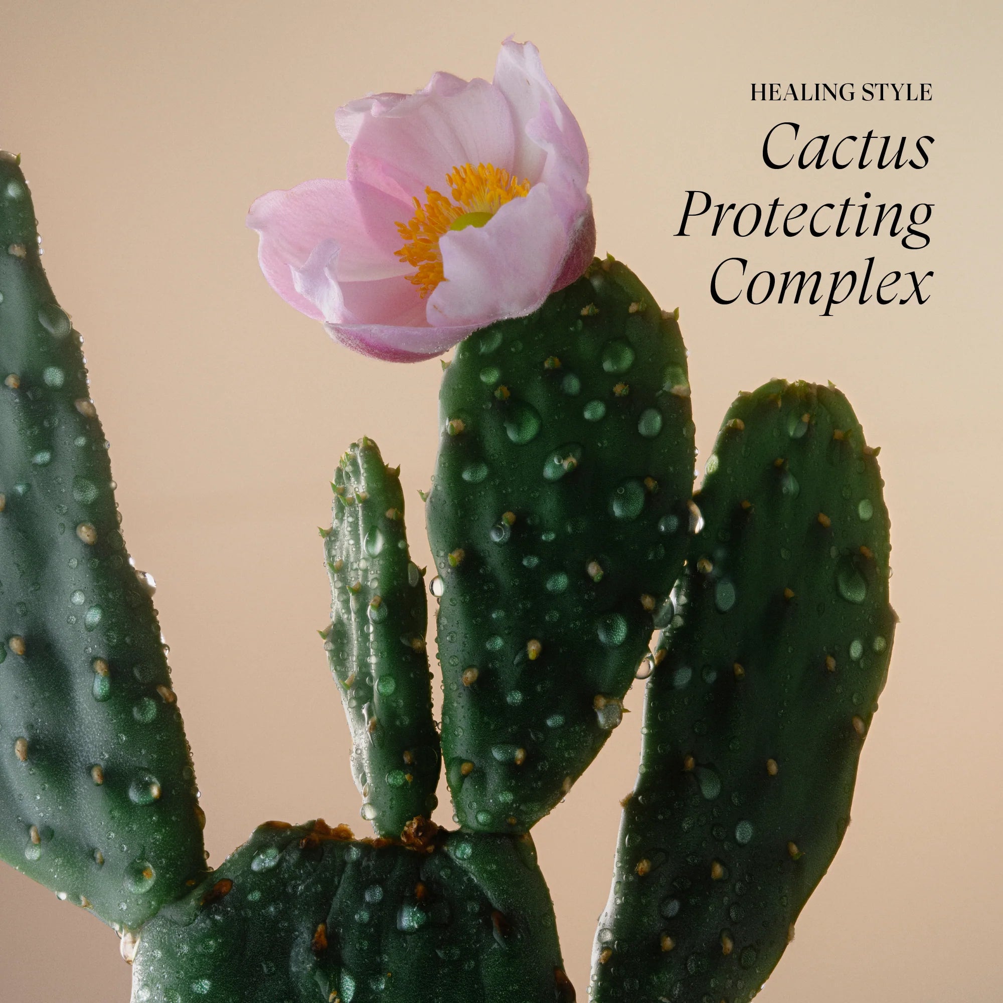 L’ANZA Healing Style Dry Shampoo – Direct fris en volumevol haar