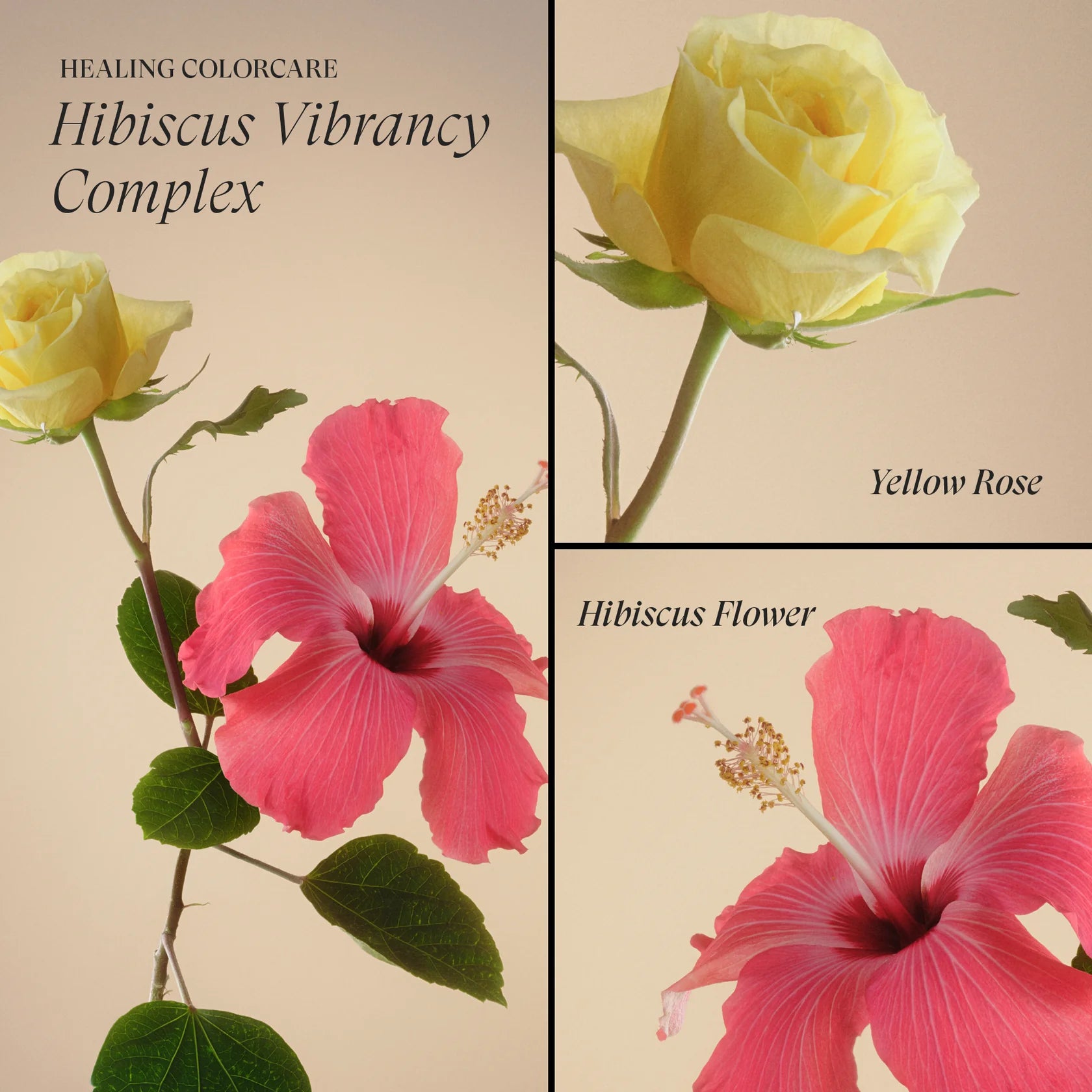 L'ANZA Healing Strength Trauma Treatment – Intensieve Haarherstel Treatment voor Beschadigd Haar