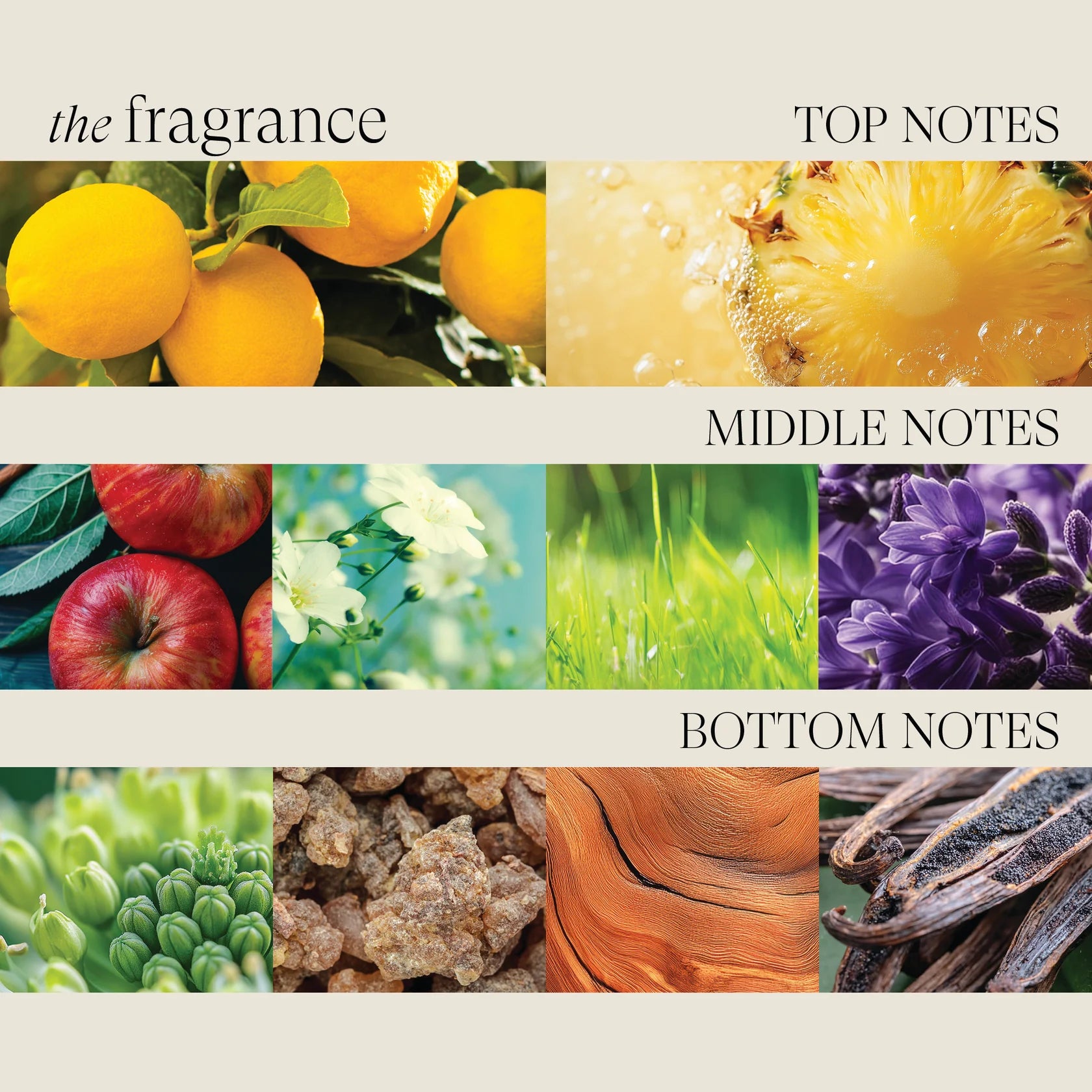 L'ANZA Healing Strength Trauma Treatment – Intensieve Haarherstel Treatment voor Beschadigd Haar