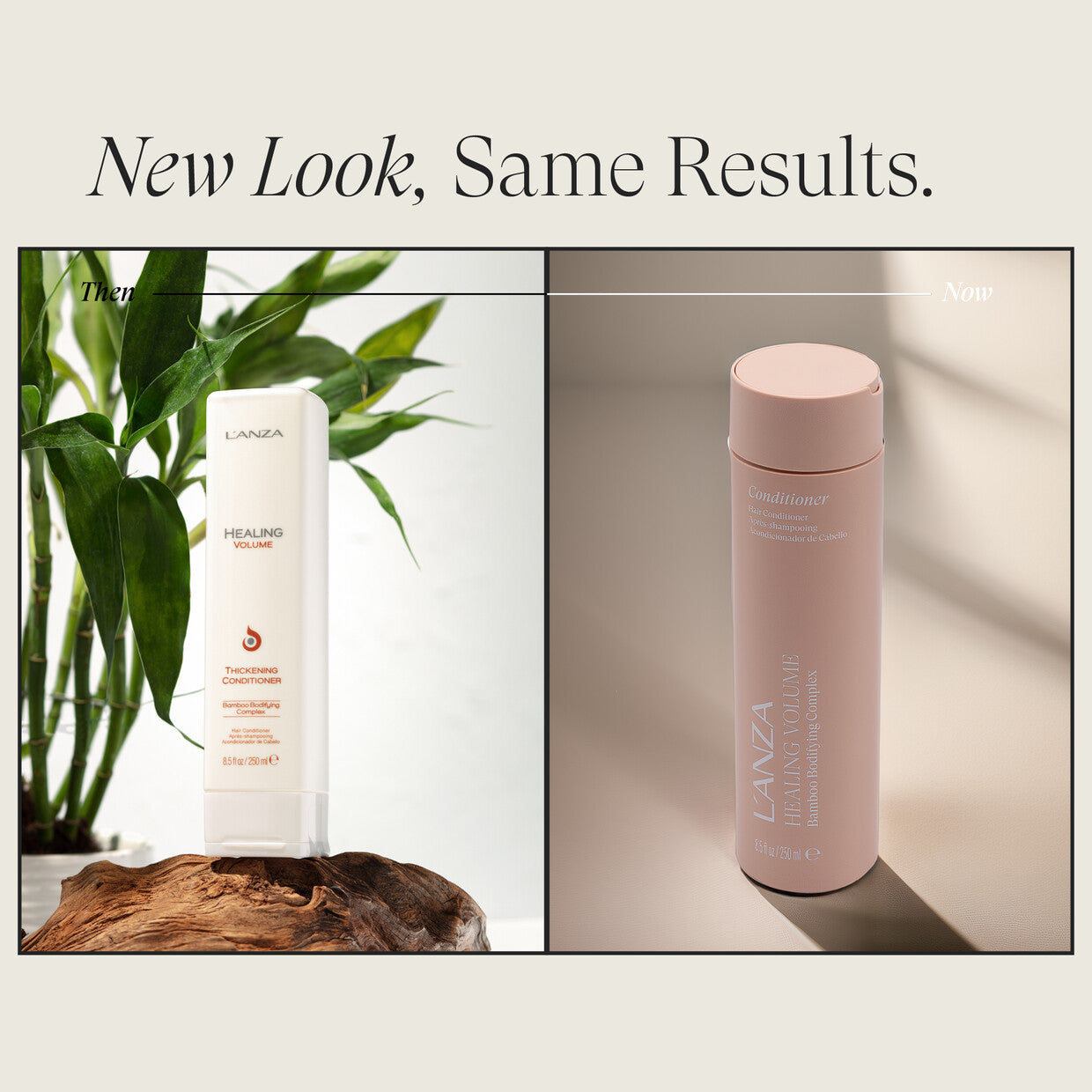 L'ANZA Healing Volume Conditioner 950ml – Volume Conditioner voor Fijn en Dun Haar – Professionele Salonverzorging – Nieuwe Verpakking