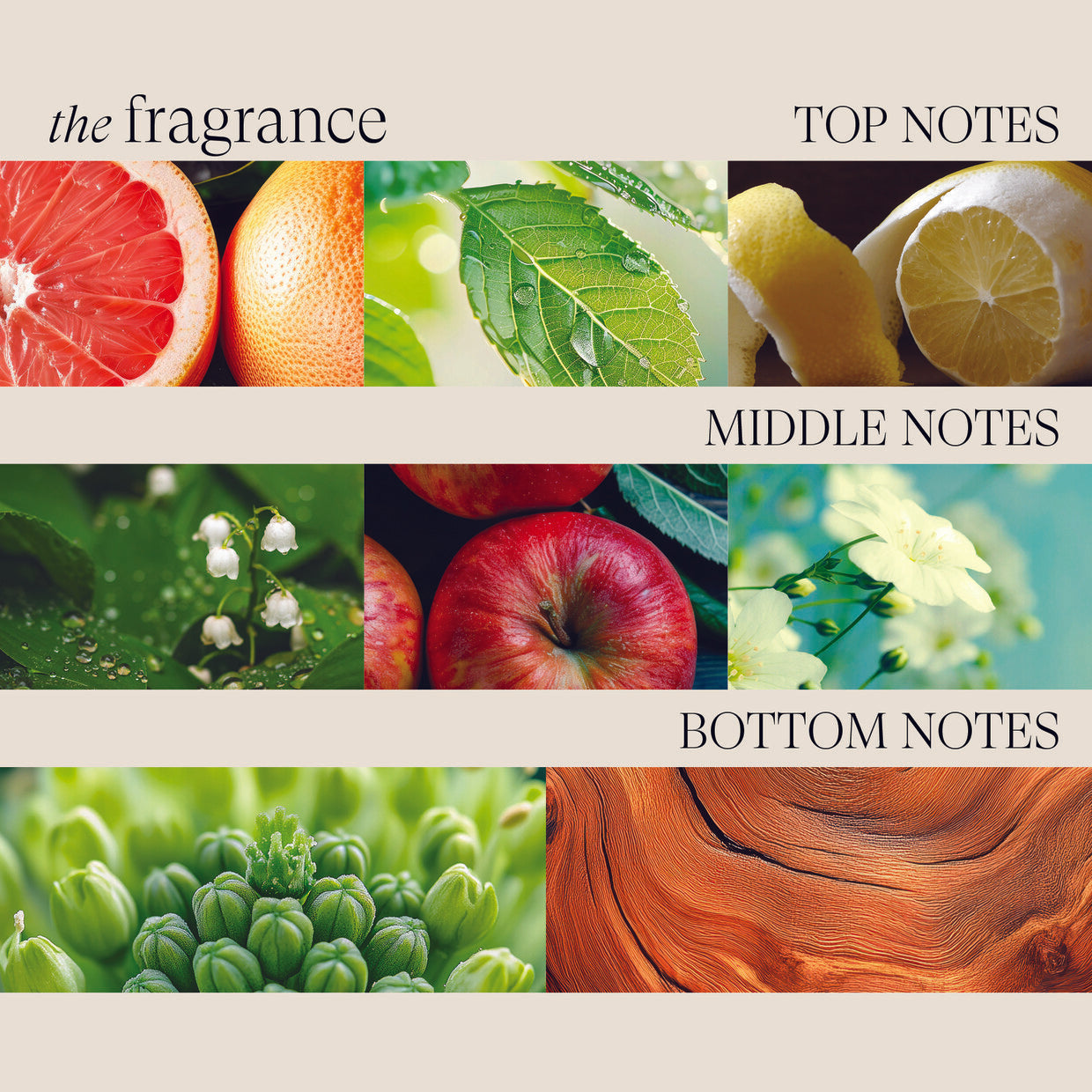 L'ANZA Healing Volume Conditioner 950ml – Volume Conditioner voor Fijn en Dun Haar – Professionele Salonverzorging – Nieuwe Verpakking