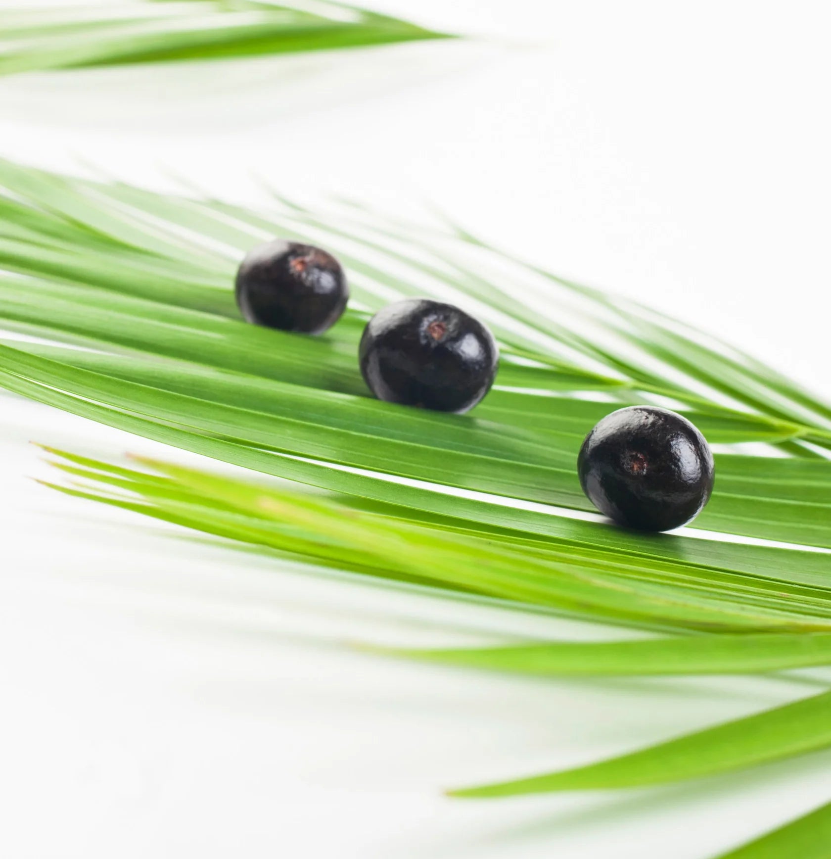 L’Anza Keratin Healing Oil Intensive Hair Masque – Intensief Herstel & Voeding voor Beschadigd Haar