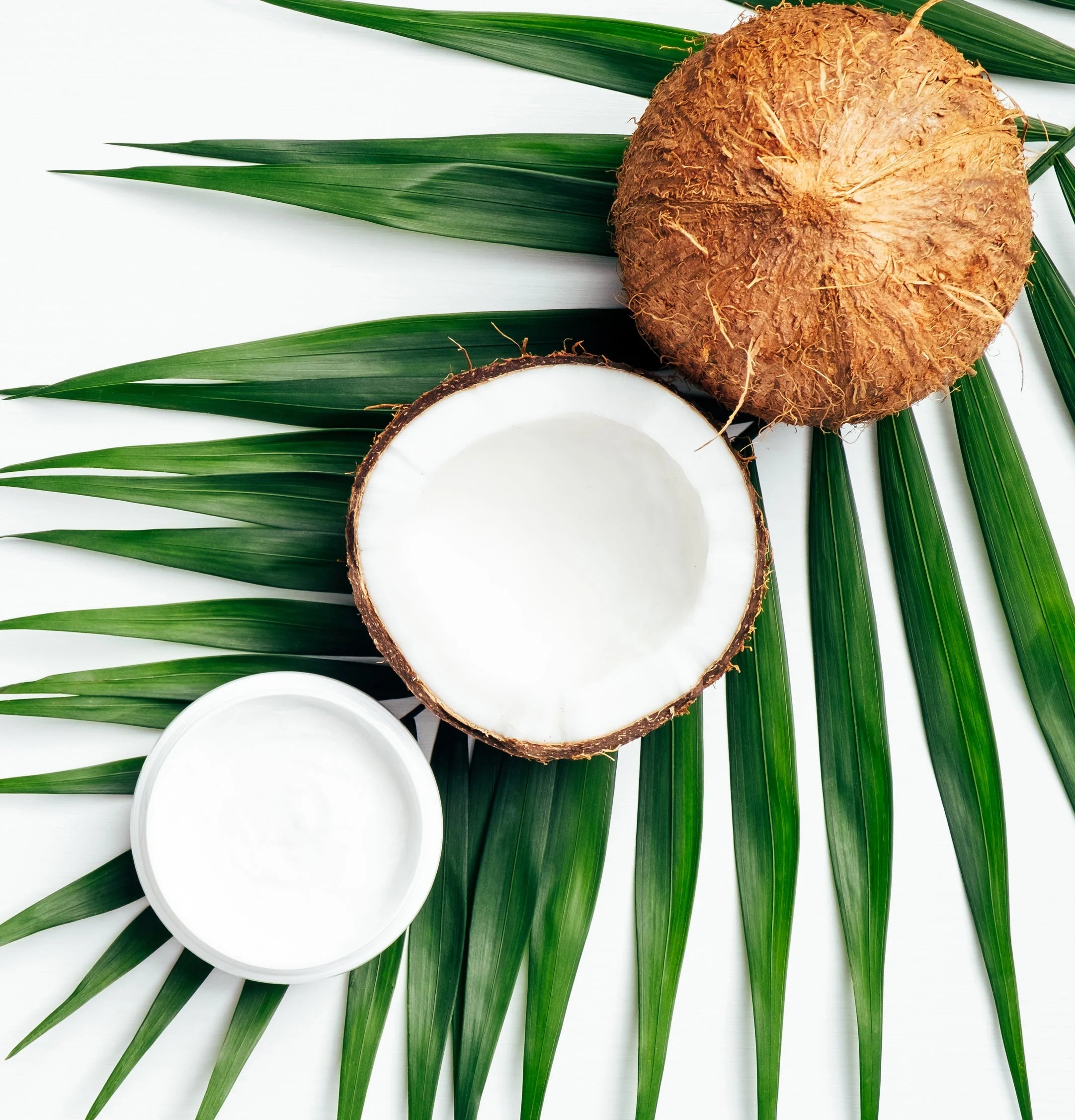 L'ANZA Healing Moisture Hair Masque 200ml – Intensief Hydraterend Haarmasker voor Droog en Beschadigd Haar – Professionele Salonverzorging – Nieuwe Verpakking