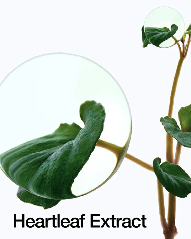 ANUA Heartleaf 77% Smoothing Toner 250 ml – Kalmerende Toner voor Gevoelige en Onzuivere Huid