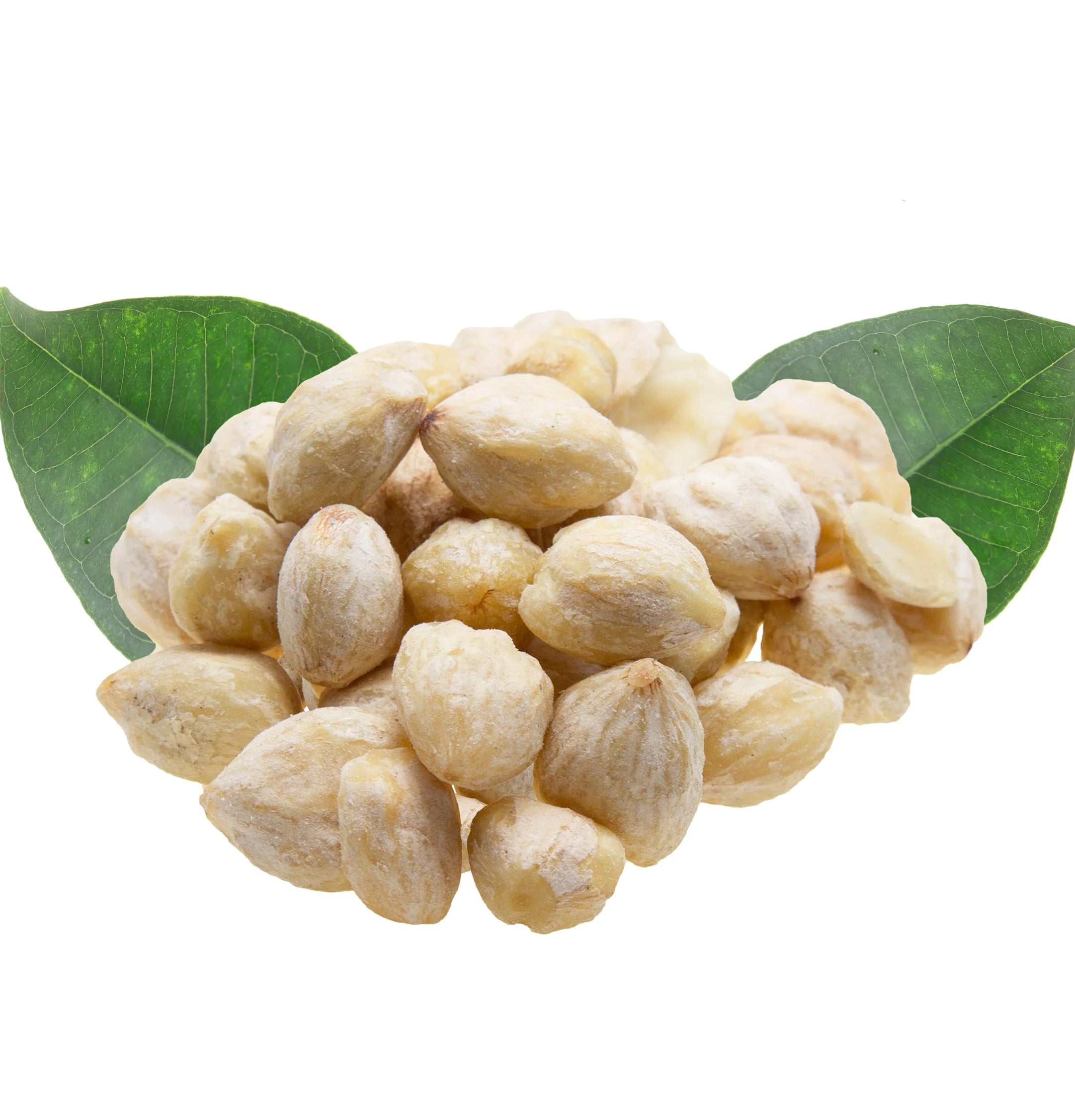 L'ANZA Healing Moisture Hair Masque 200ml – Intensief Hydraterend Haarmasker voor Droog en Beschadigd Haar – Professionele Salonverzorging – Nieuwe Verpakking