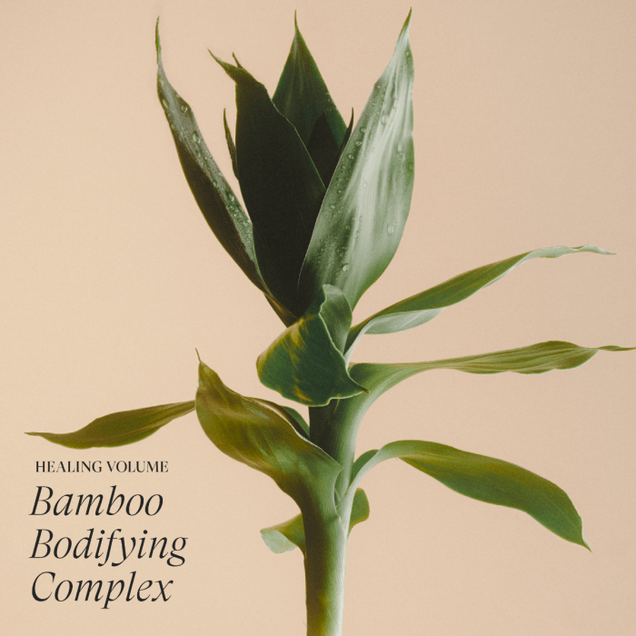 L'ANZA Healing Volume Shampoo 950ml – Professionele Volume Shampoo voor Fijn Haar – Nieuwe Verpakking