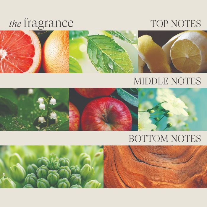 L'ANZA Healing Volume Shampoo 950ml – Professionele Volume Shampoo voor Fijn Haar – Nieuwe Verpakking