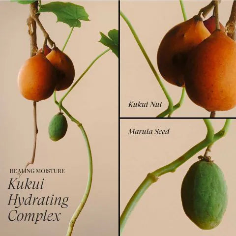 L'ANZA Healing Moisture Conditioner 950ml – Intensief Hydraterende Conditioner voor Droog en Beschadigd Haar – Professionele Salonverzorging – Nieuwe Verpakking